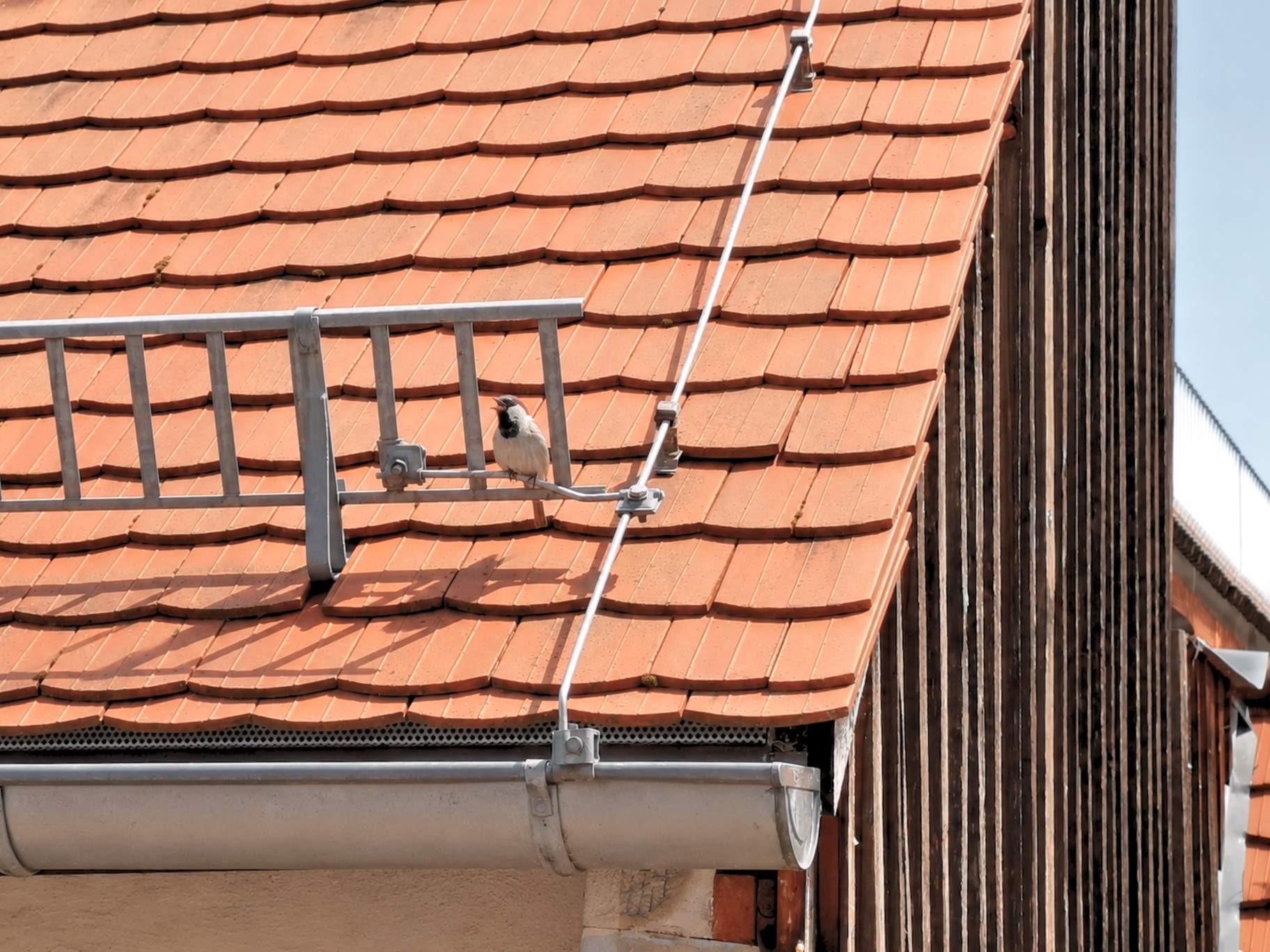 Meißen Rosengasse