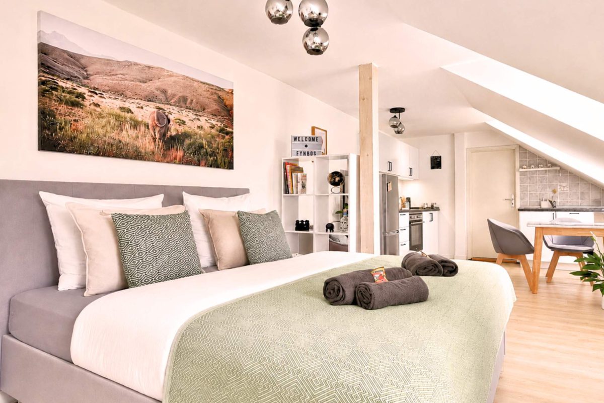 Modern eingerichteter Wohnbereich im Studio-Apartment Gondwana von Fynbos Apartments – Ferienwohnung Meißen